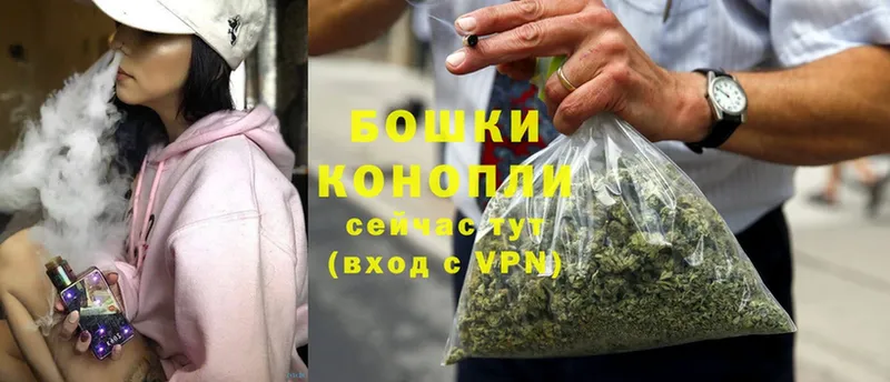 Конопля OG Kush  купить   Елец 